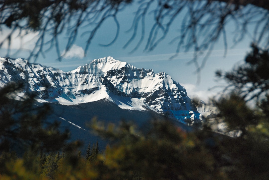 Adjustment layers in Photoshop