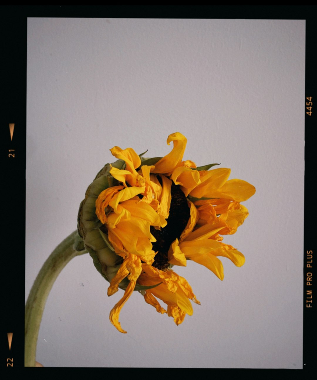 Shutter speed comparison